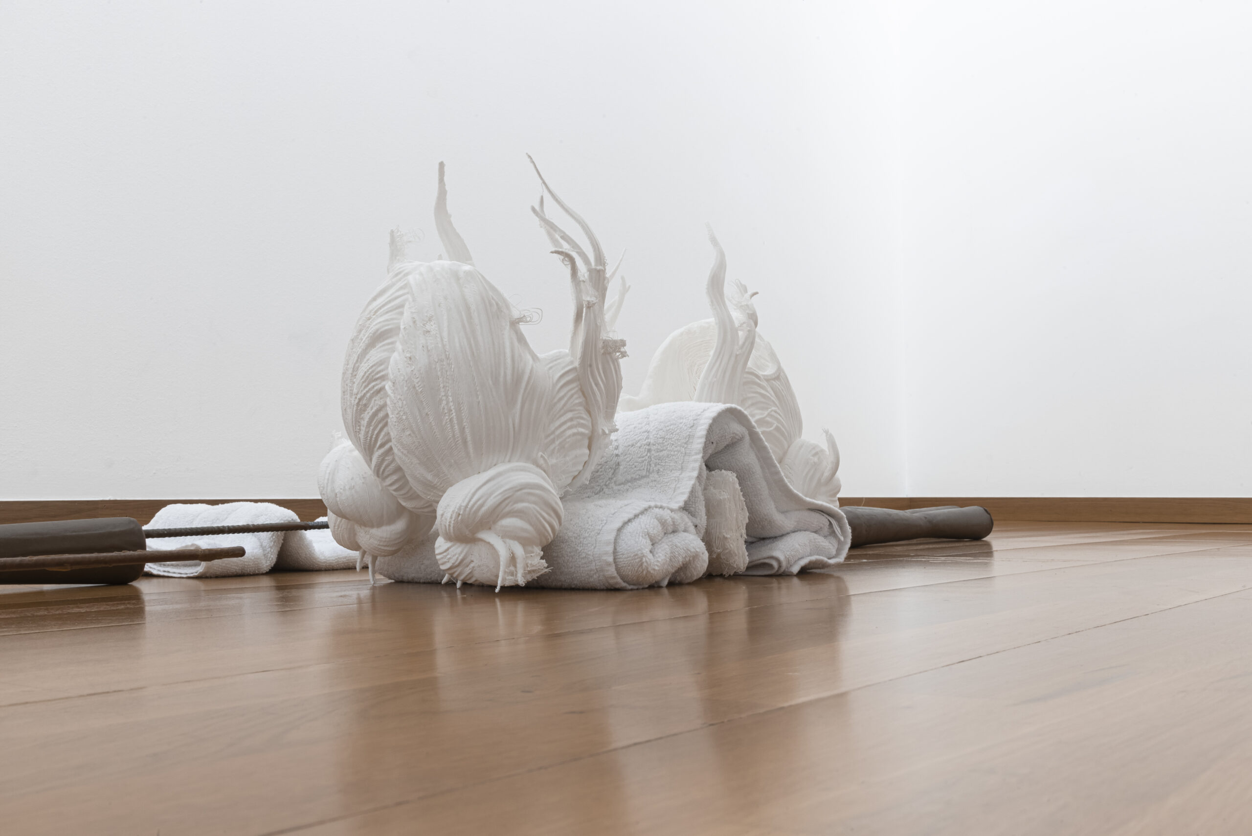 The Centro de Arte Fundación María José Jove joins Catapulta